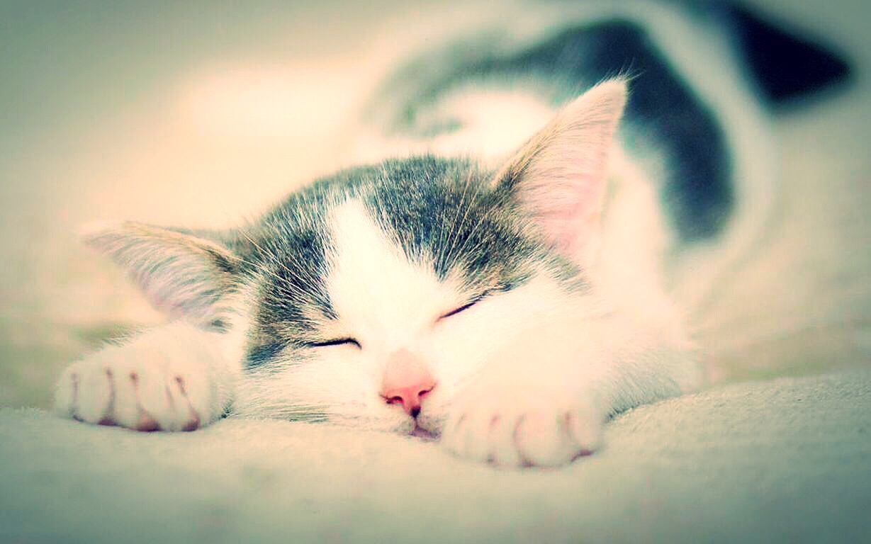 source:pinterest.com